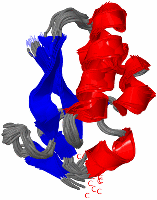 Image NMR Structure - all models