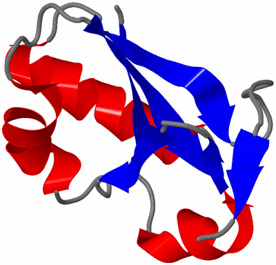 Image NMR Structure - model 1