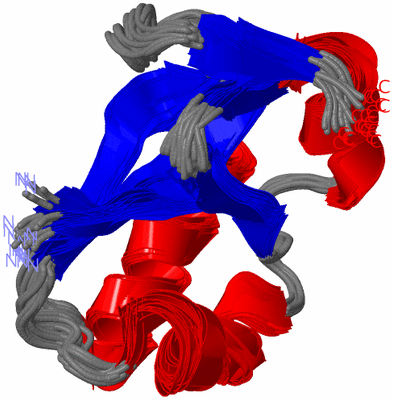 Image NMR Structure - all models