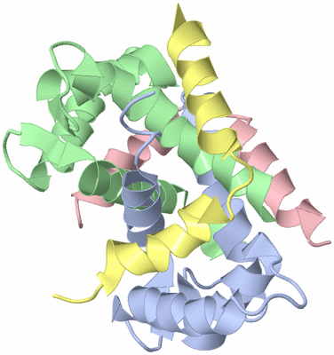 Image NMR Structure - model 1