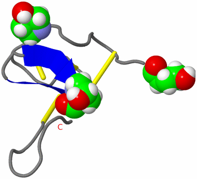 Image NMR Structure - model 1