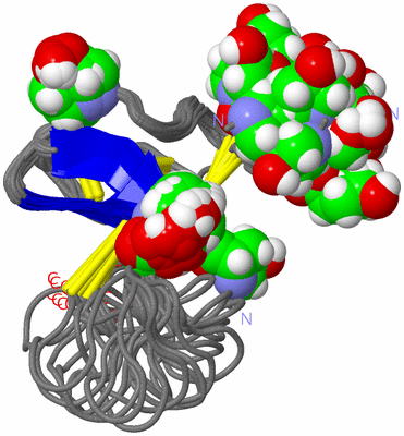 Image NMR Structure - all models