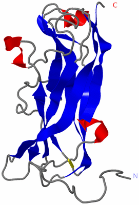 Image NMR Structure - model 1