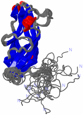 Image NMR Structure - all models