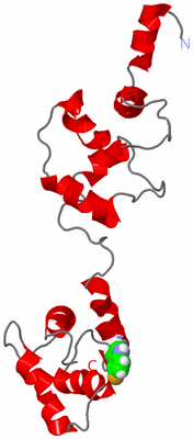 Image NMR Structure - model 1