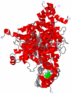 Image NMR Structure - all models