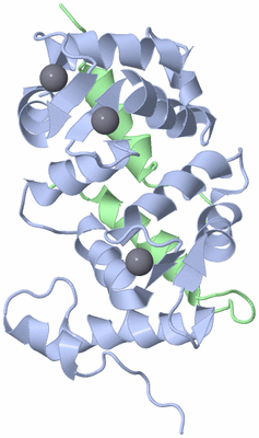 Image NMR Structure - model 1