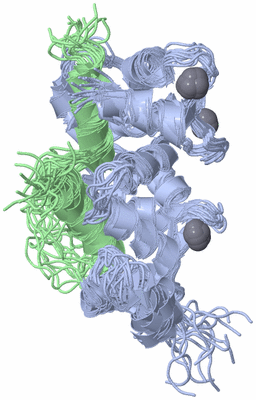 Image NMR Structure - all models