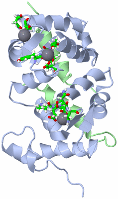 Image NMR Structure - model 1, sites