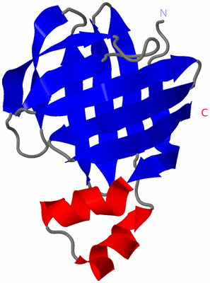 Image NMR Structure - model 1