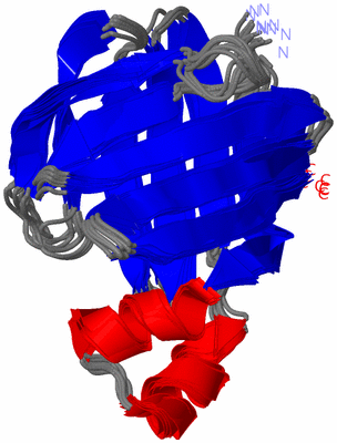 Image NMR Structure - all models