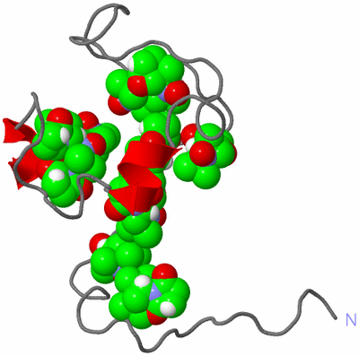 Image NMR Structure - model 1