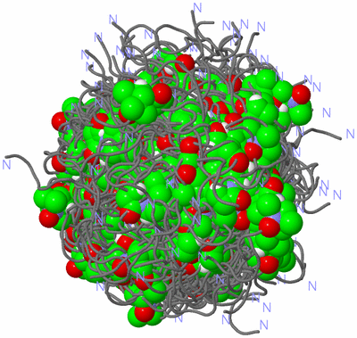 Image NMR Structure - all models