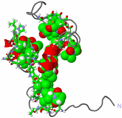 Image NMR Structure - model 1, sites