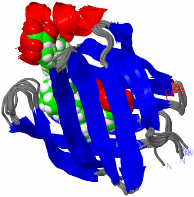 Image NMR Structure - all models