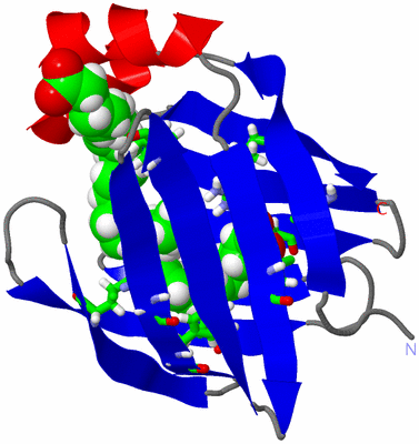 Image NMR Structure - model 1, sites