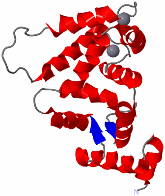 Image NMR Structure - model 1