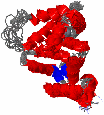 Image NMR Structure - all models