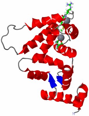 Image NMR Structure - model 1, sites