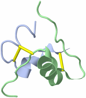 Image NMR Structure - model 1