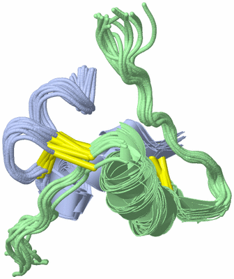 Image NMR Structure - all models