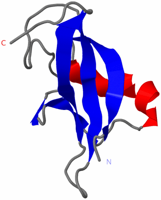 Image NMR Structure - model 1