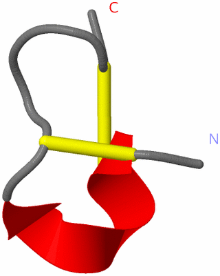 Image NMR Structure - model 1