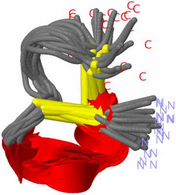 Image NMR Structure - all models