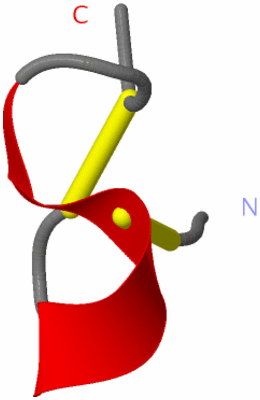 Image NMR Structure - model 1