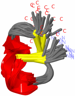 Image NMR Structure - all models