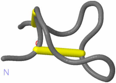 Image NMR Structure - model 1