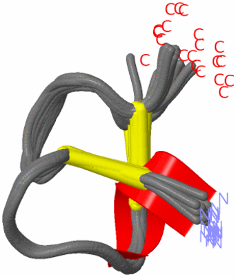 Image NMR Structure - all models