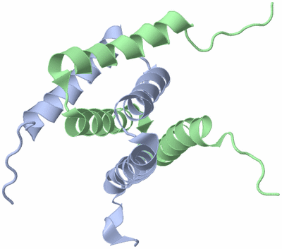 Image NMR Structure - model 1