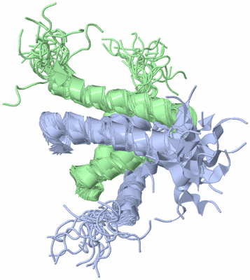 Image NMR Structure - all models