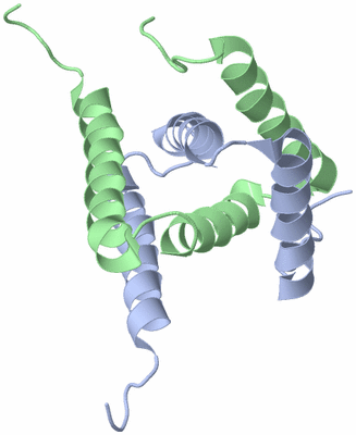 Image NMR Structure - model 1