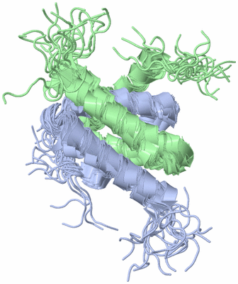 Image NMR Structure - all models