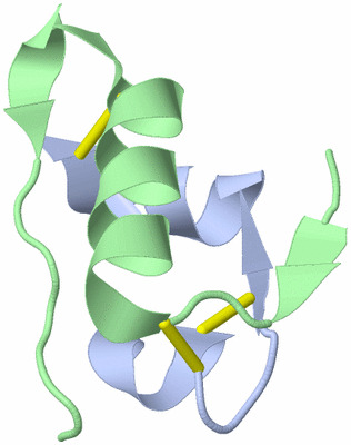 Image NMR Structure - model 1