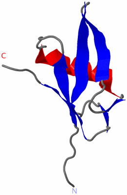 Image NMR Structure - model 1