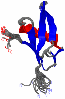 Image NMR Structure - all models