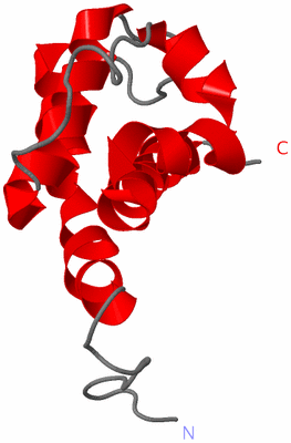 Image NMR Structure - model 1