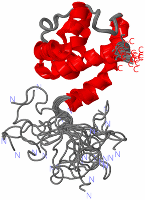 Image NMR Structure - all models