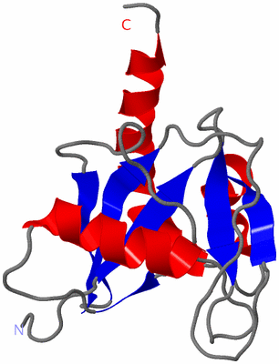 Image NMR Structure - model 1