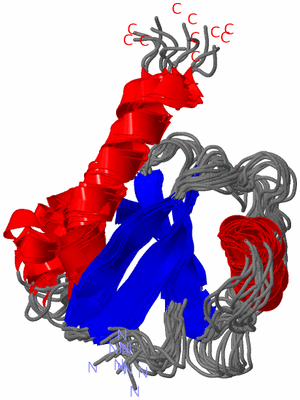 Image NMR Structure - all models