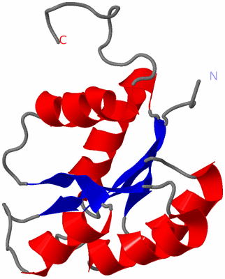 Image NMR Structure - model 1