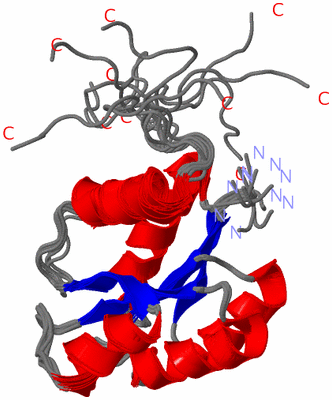 Image NMR Structure - all models