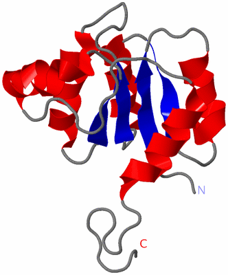 Image NMR Structure - model 1