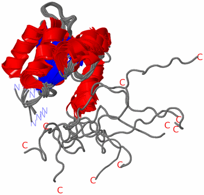 Image NMR Structure - all models