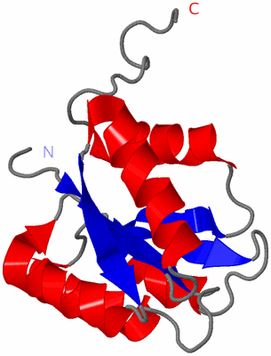 Image NMR Structure - model 1