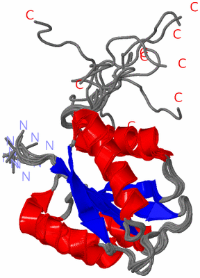 Image NMR Structure - all models