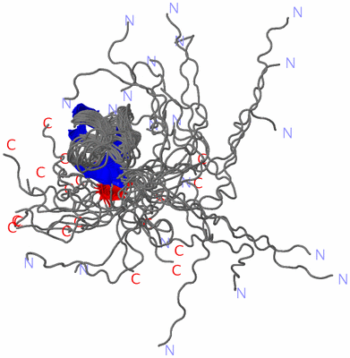 Image NMR Structure - all models